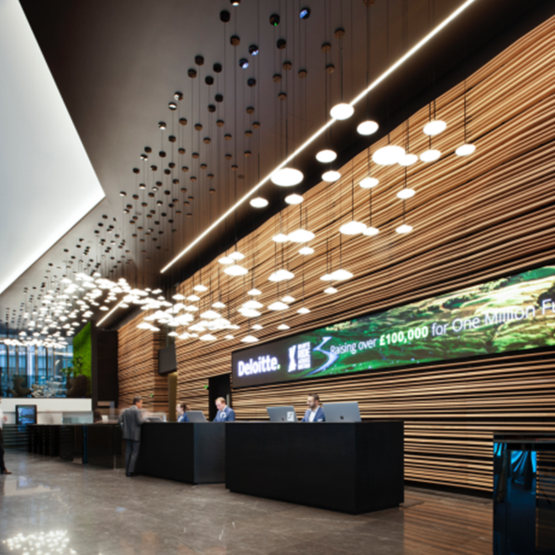 Deloitte Case Study